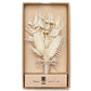 (Natur) Hochzeitsanstecker Trockenblumen in Geschenkbox – Boutonniere Bräutigam Prince Bowtie